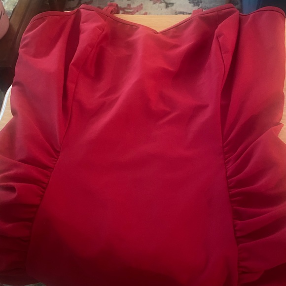 ‼️SOLD *Worn Twice* Panache “Anya” One-Piece Suit - Picture 4 of 4